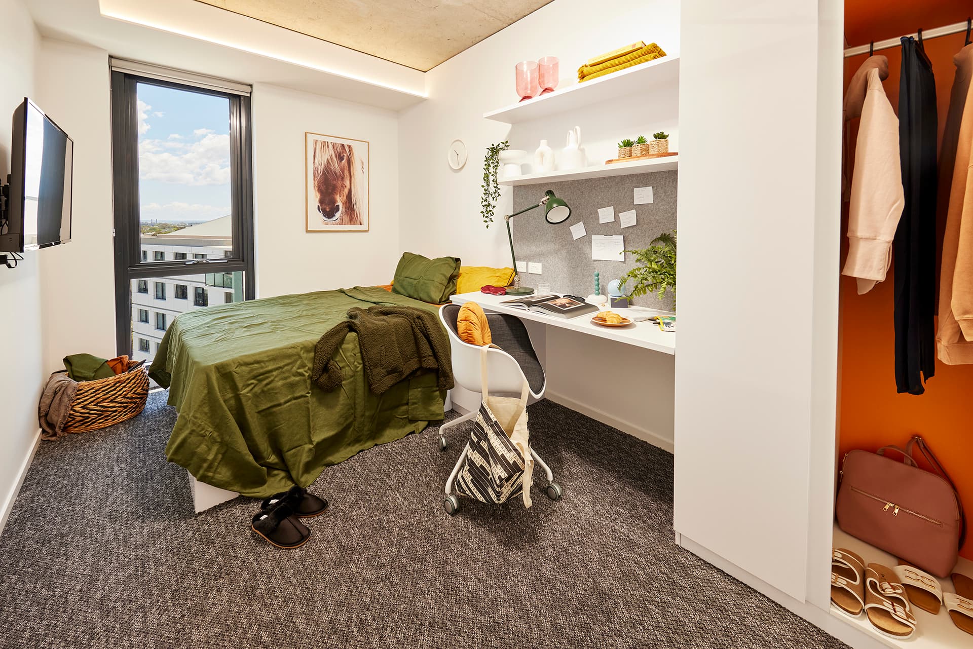 Room 5