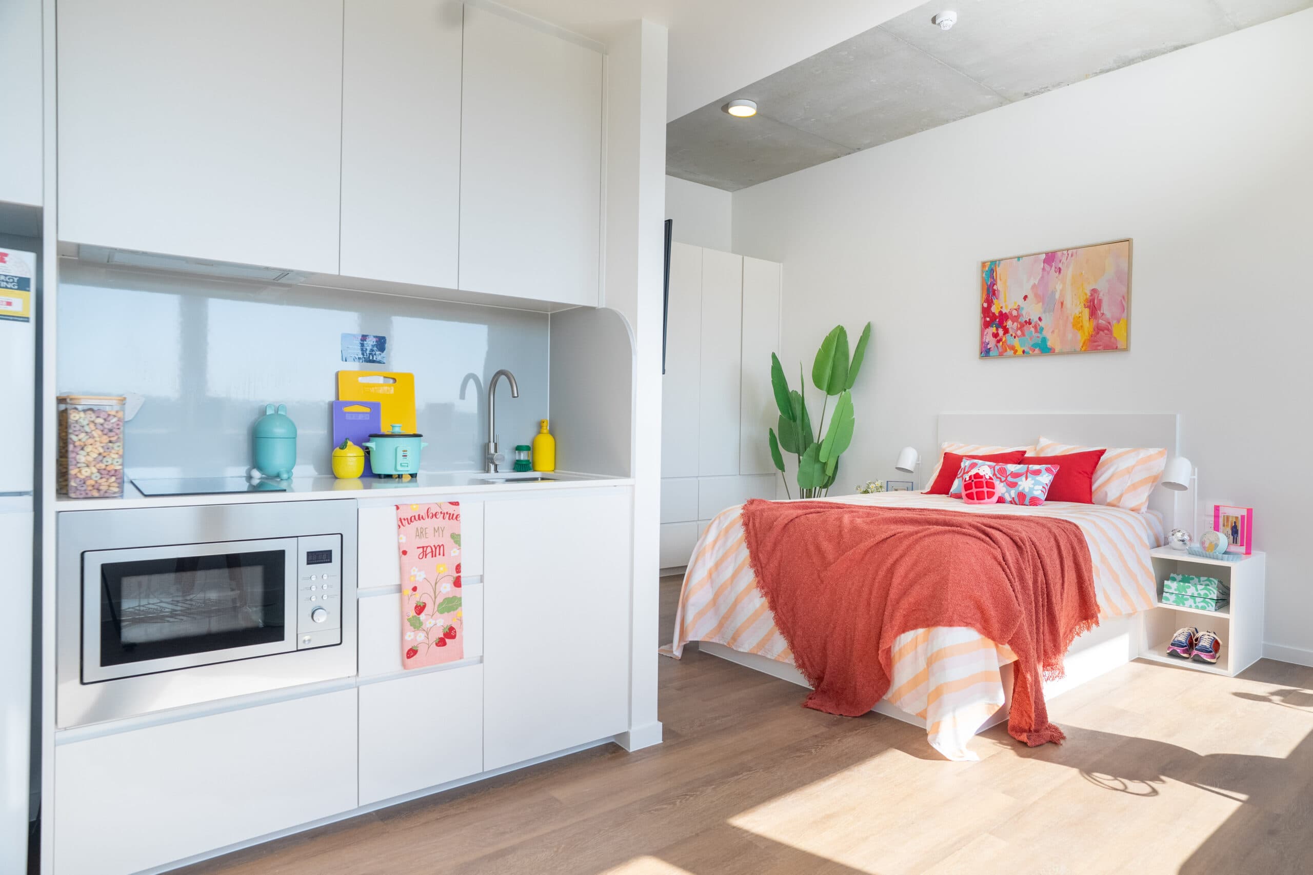 Ultra Studio Apartment